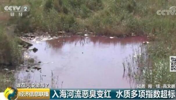 渤海入海河流黑臭变红 水质严重超标！