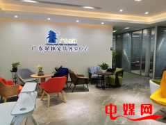 广东星林家具有限公司：兴于盛世，成于极致